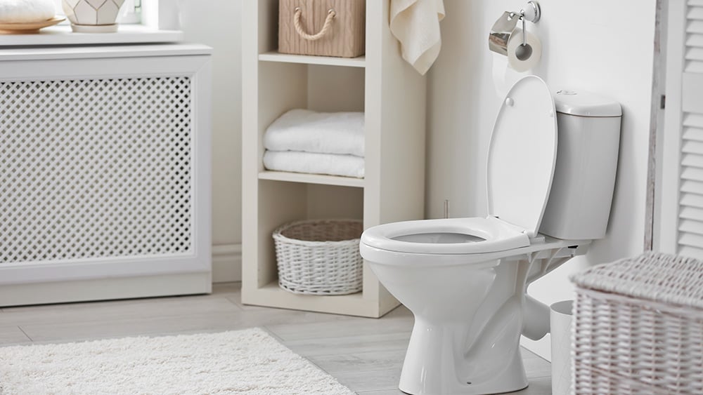 Understanding S-Trap and P-Trap Toilets: What They Are, How They Work