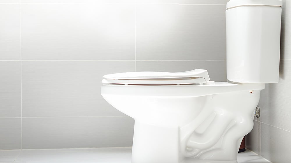 https://www.warnerservice.com/hs-fs/hubfs/toilet.jpg?width=1000&name=toilet.jpg