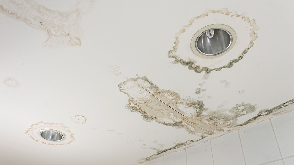 How To Prevent Water Damage From Residential Plumbing