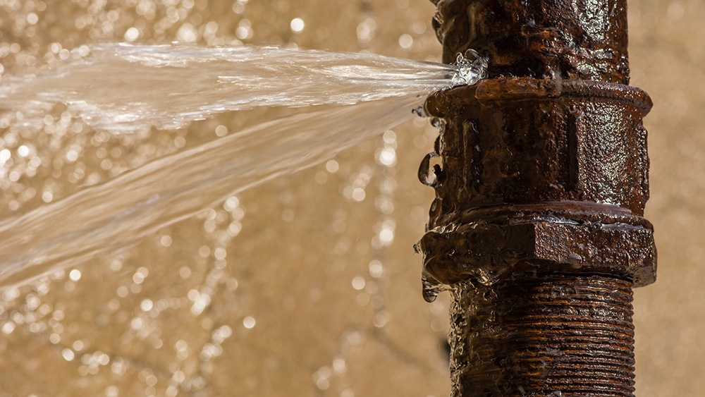 4 Signs You Have a Plumbing Leak