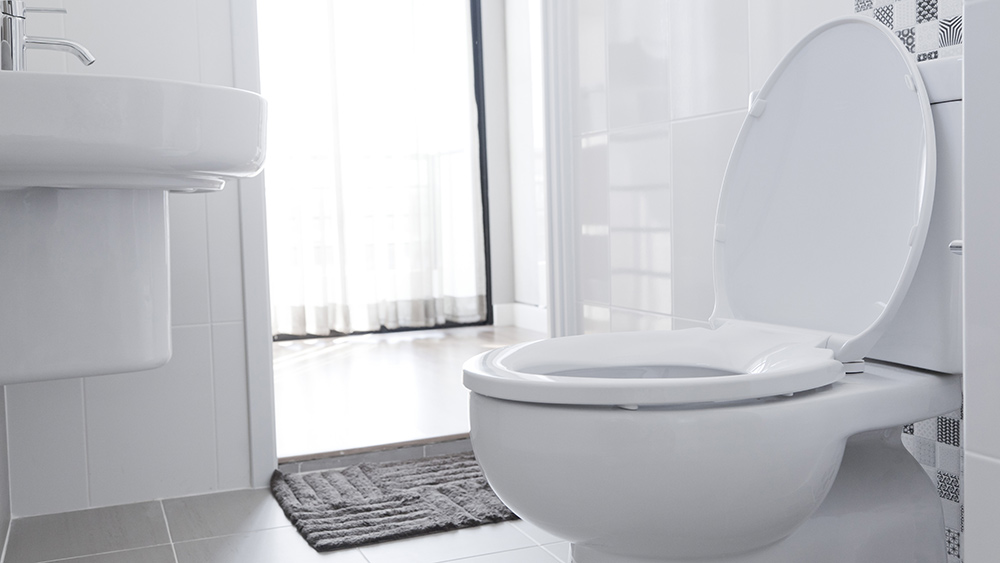Toilet Anatomy 201: The Advanced Plumbing Edition